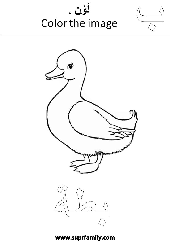 اوراق عمل تلوين حرف الباء لرياض الاطفال