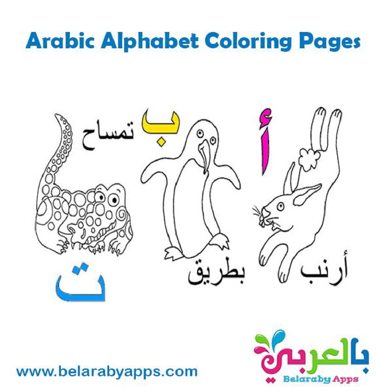 Coloring Activities PDF Worksheets - Free Download