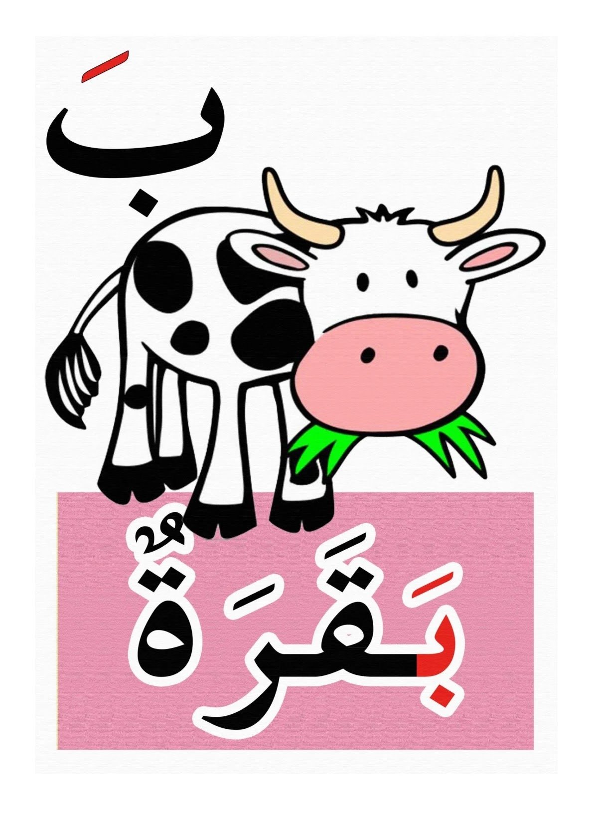 Arabic Letter Forms: Beginning, Middle, and End of the Word