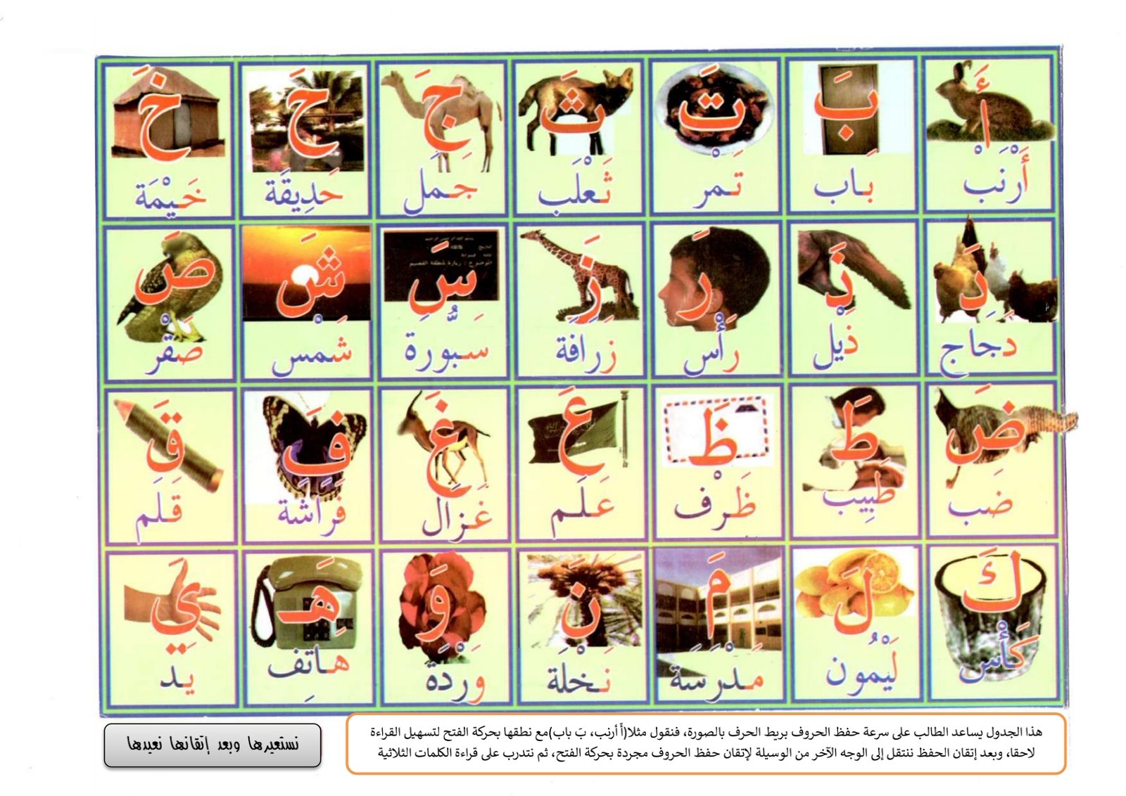 First Grade Arabic Reading PDF – A Fun and Easy Tool for Teaching Beginners