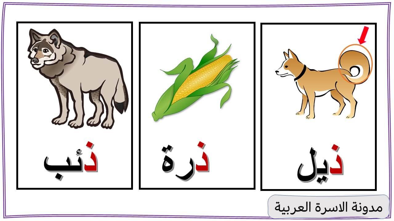 Letter Thaal Words