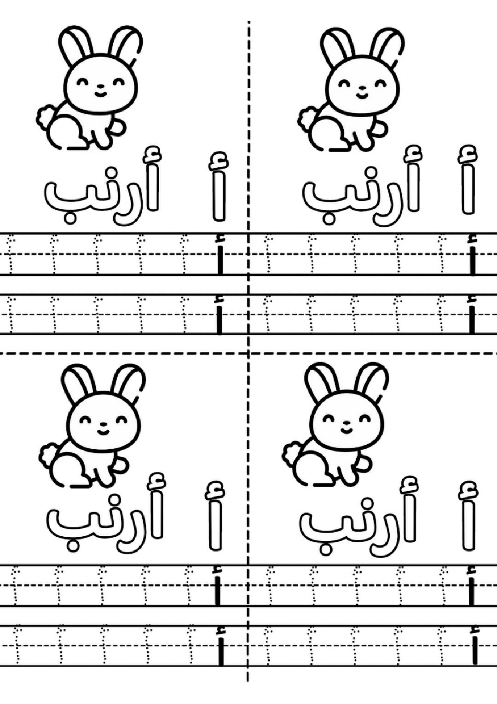 Preparatory Section worksheets