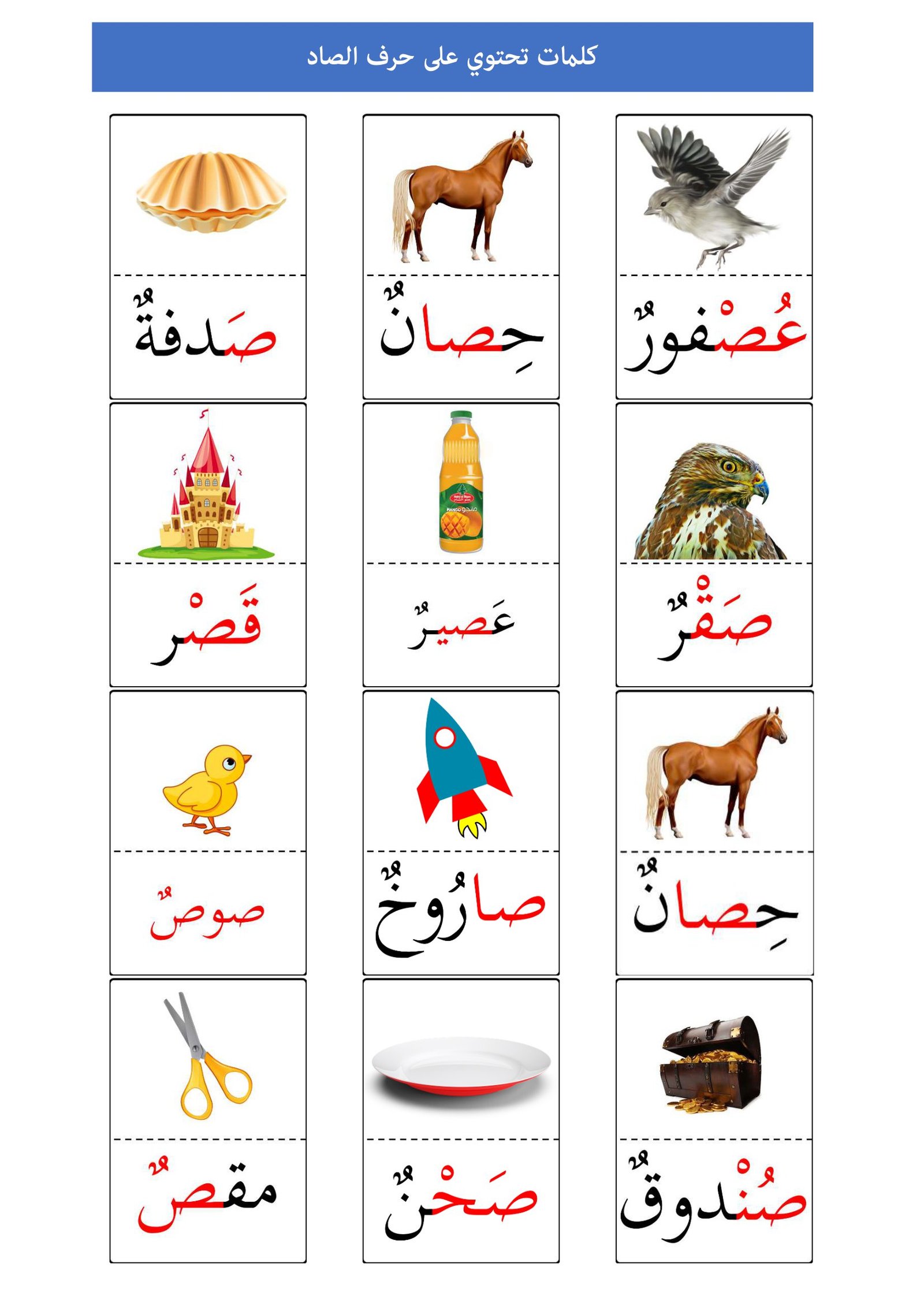 Words with Letter Saad worksheet