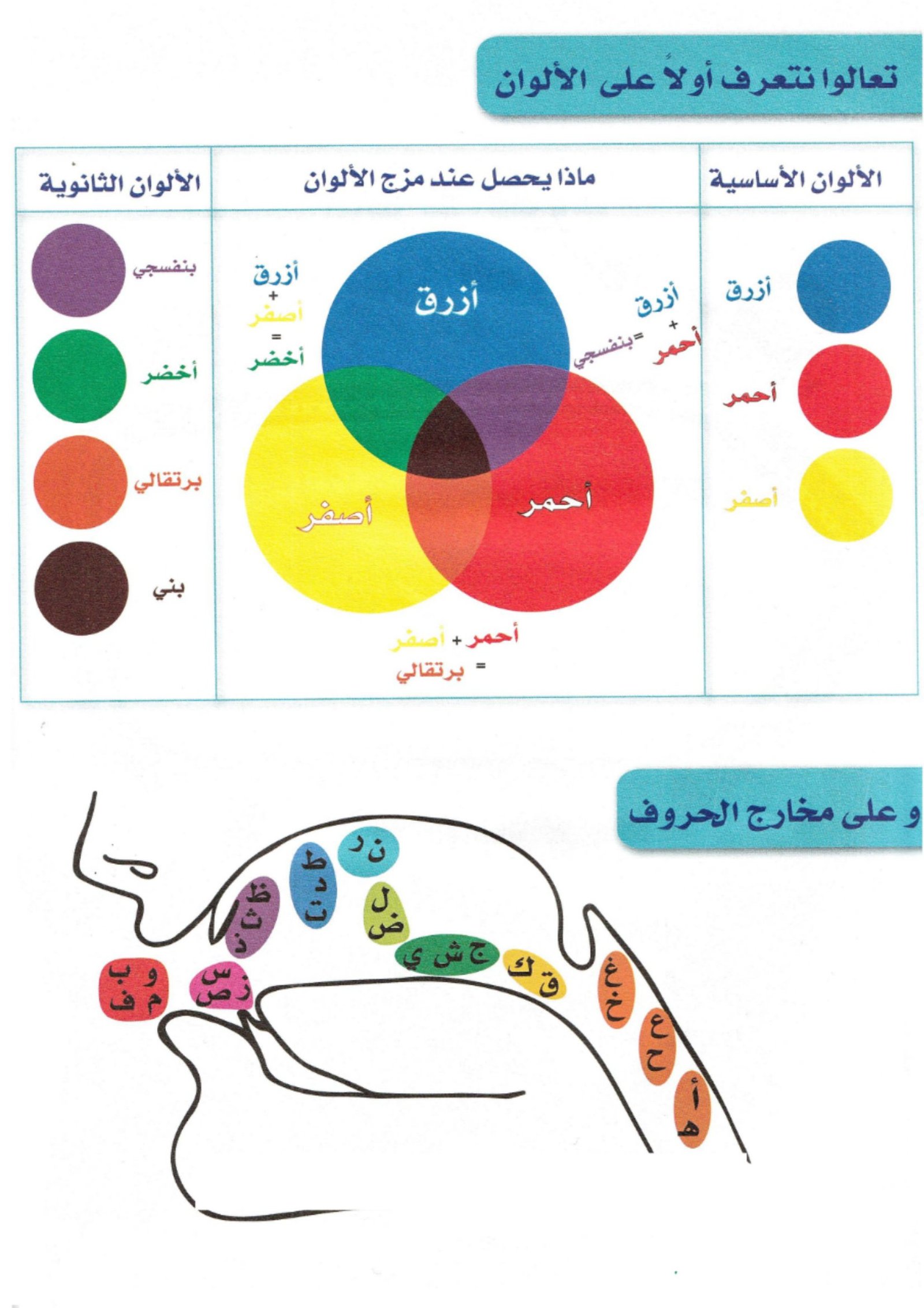 Animal Alphabet Worksheets Arabic