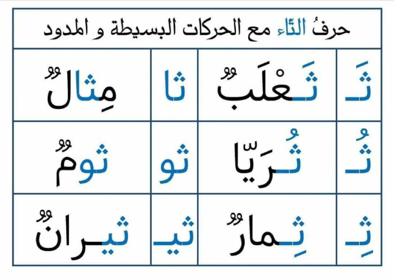 Arabic Letter Vowel Flashcards