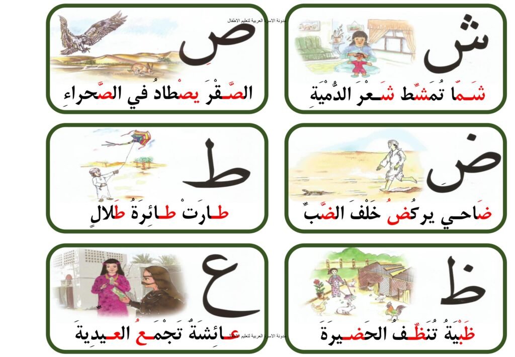 Arabic Alphabet Picture Cards with Sentences