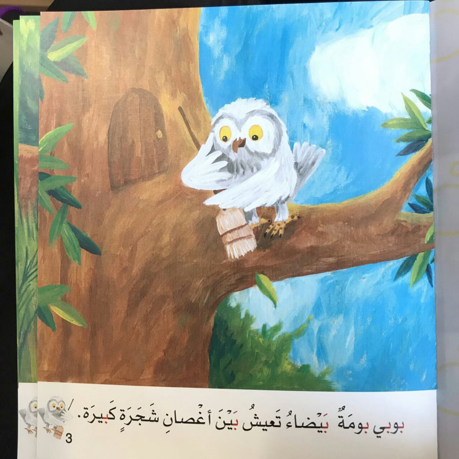 Arabic Letter Baa Story for Kids 