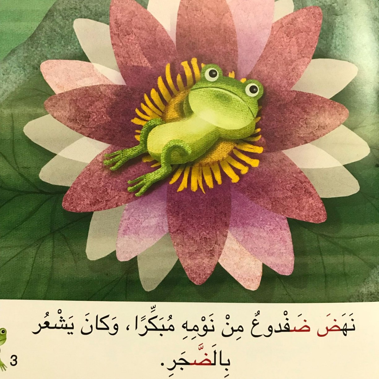 Arabic Letter Daad Worksheets for Kids