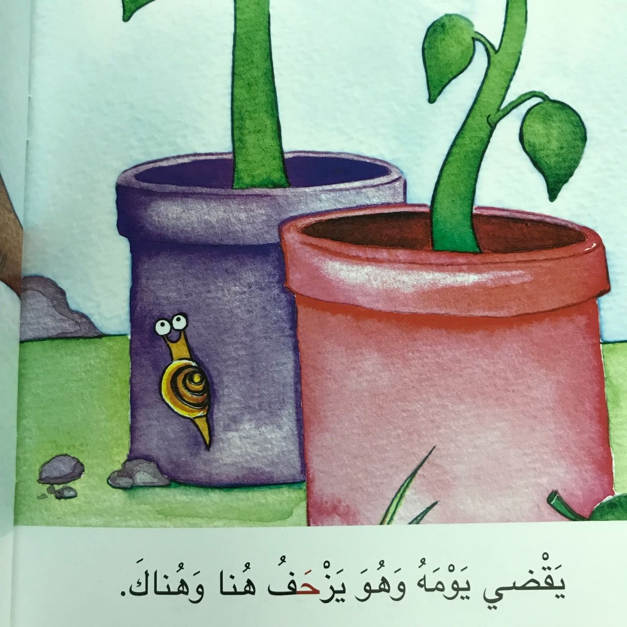 Arabic Letter Haa Worksheets for Kids