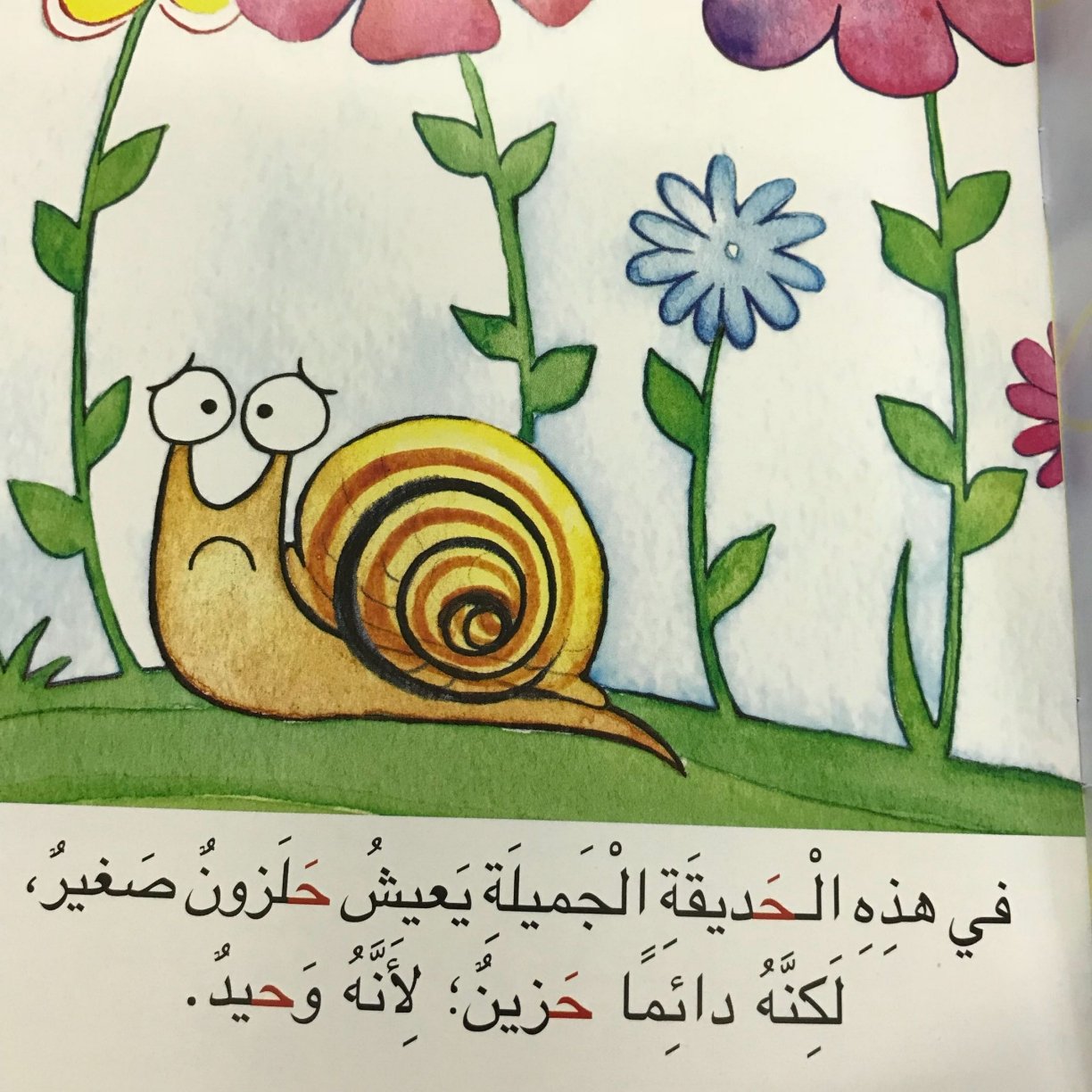 Arabic Letter Haa Worksheets for Kids