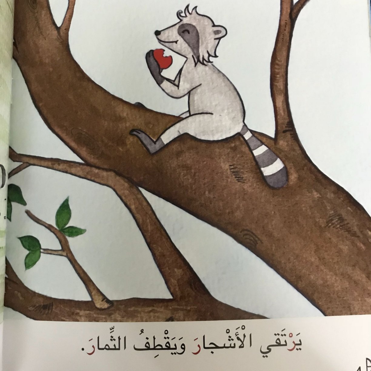 Arabic Letter Raa Worksheets for Kids