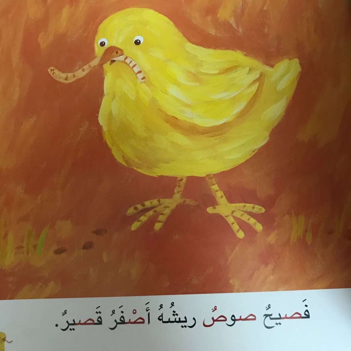 Arabic Letter Saad Worksheets for Kids
