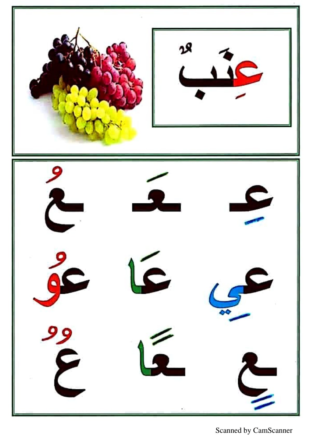 Arabic Letter Shapes Worksheets for Kids