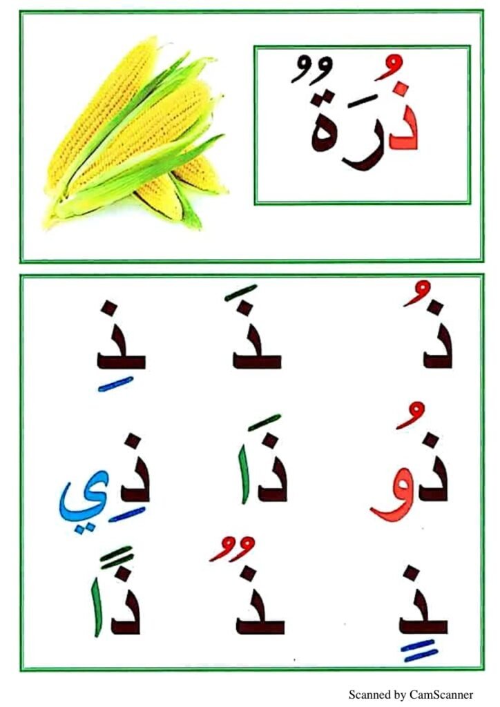 Arabic Letter Shapes Worksheets for Kids
