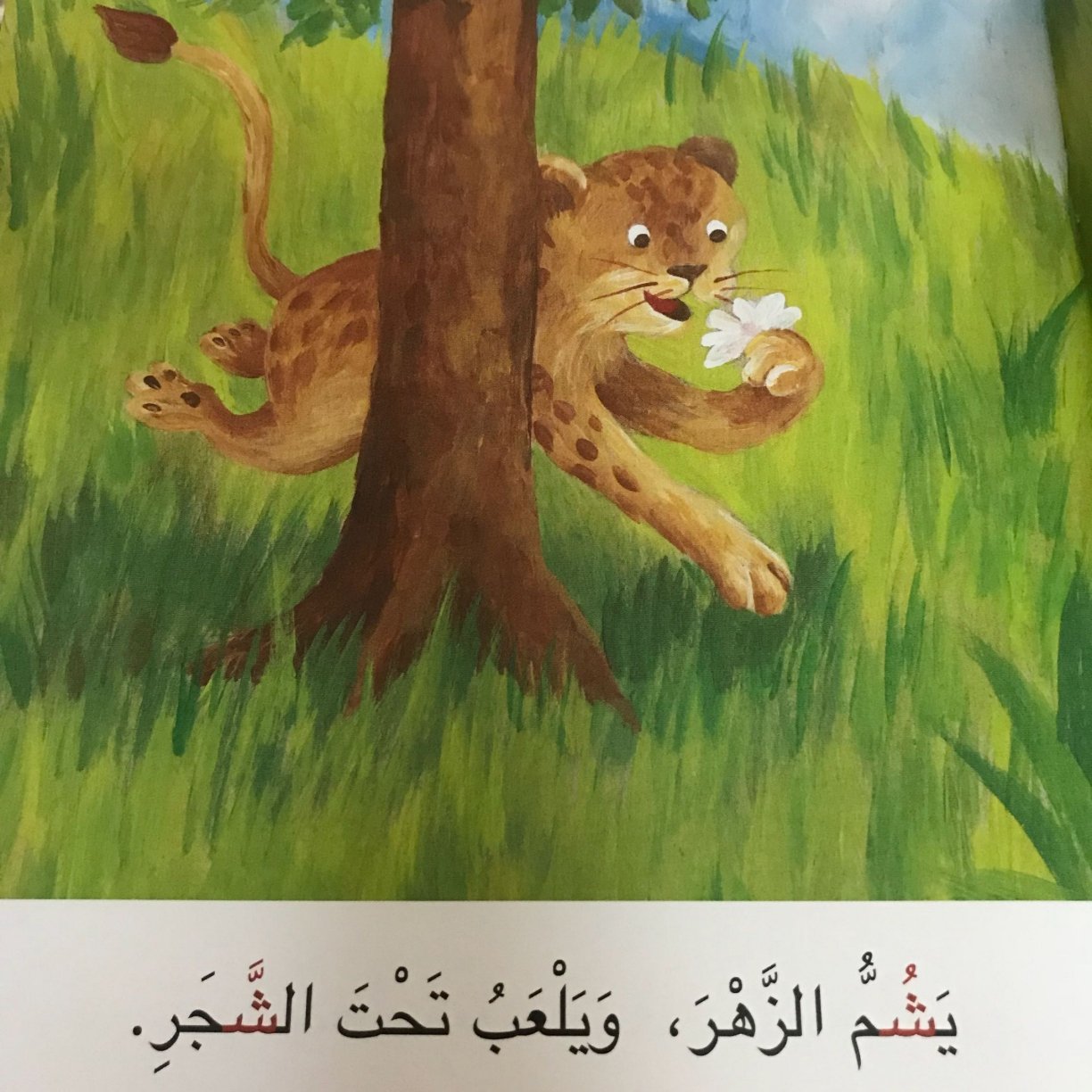 Arabic Letter Sheen Story for Kids