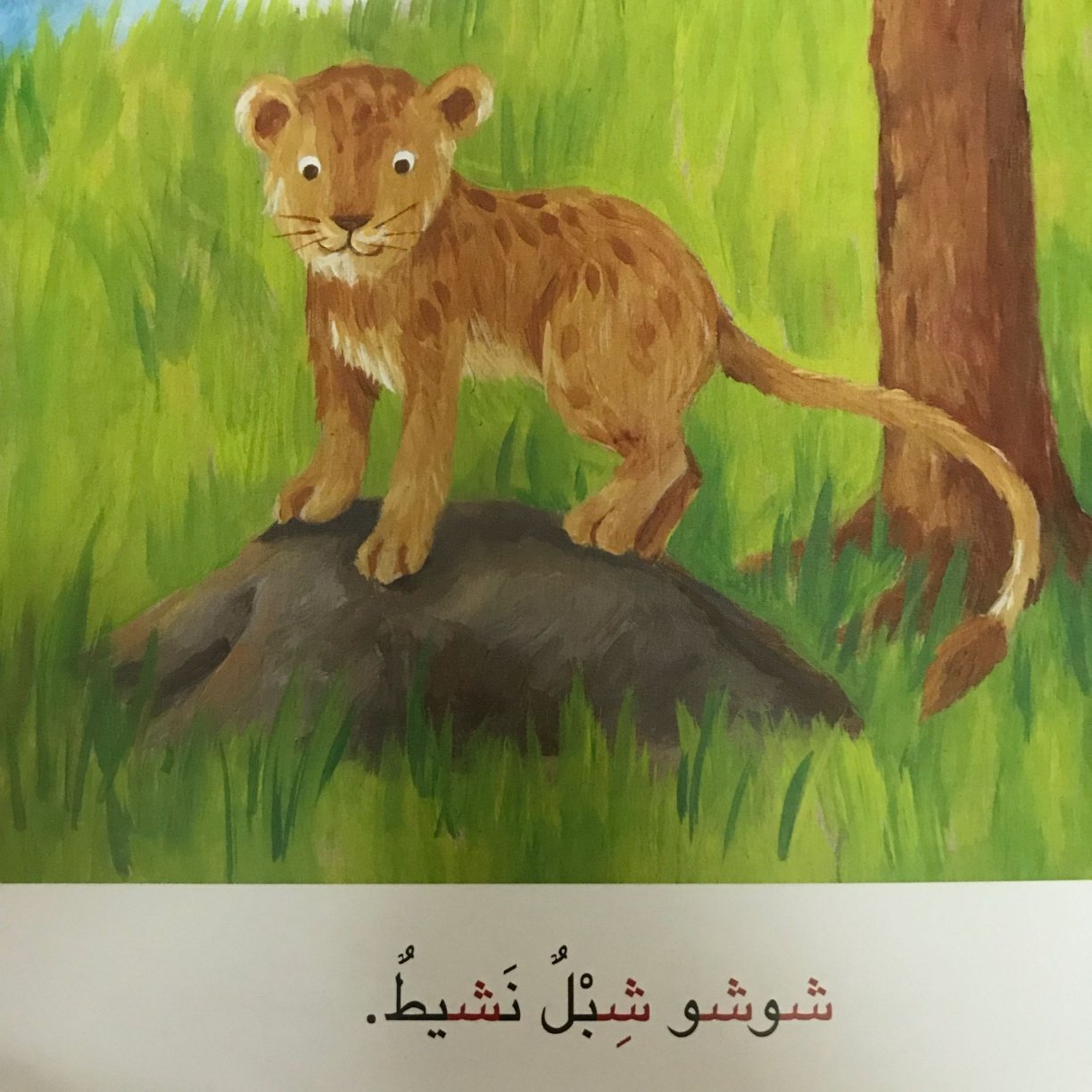 Arabic Letter Sheen Story for Kids