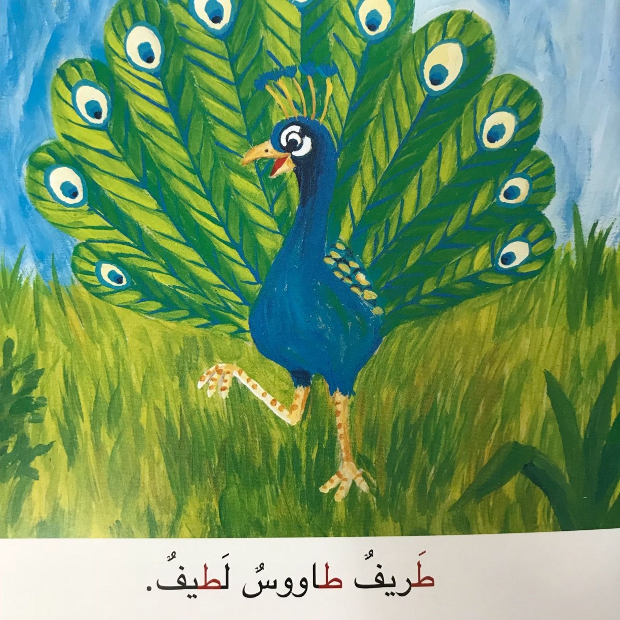 Arabic Letter Taa (Taw) Worksheets for Kids