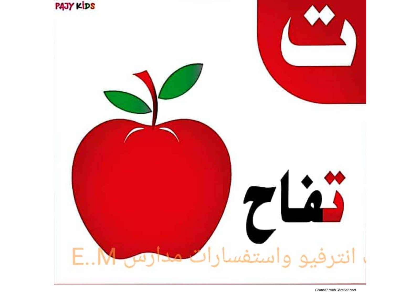 Complete Arabic Alphabet Worksheets for Kids
