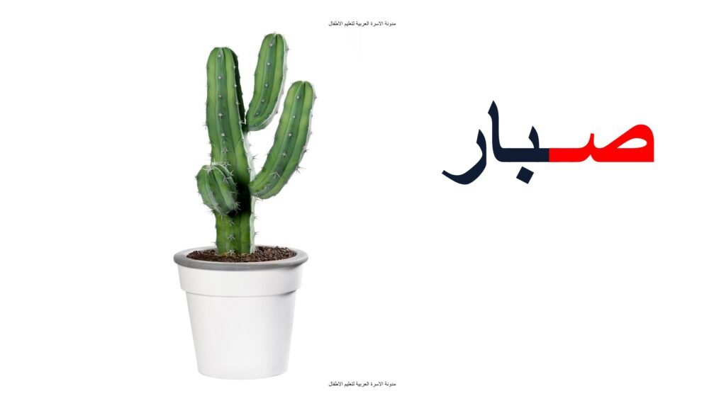 Teaching the Arabic Letter Saad to Kids